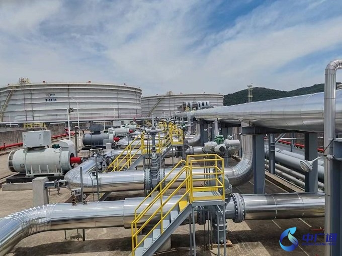 長(zhǎng)輸泵電機(jī)噪音治理